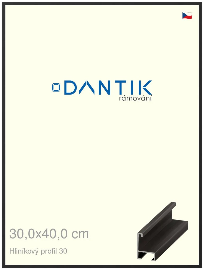 DANTIK rám na obraz 30x40 | ALU Černá matná (Plexi Čiré)