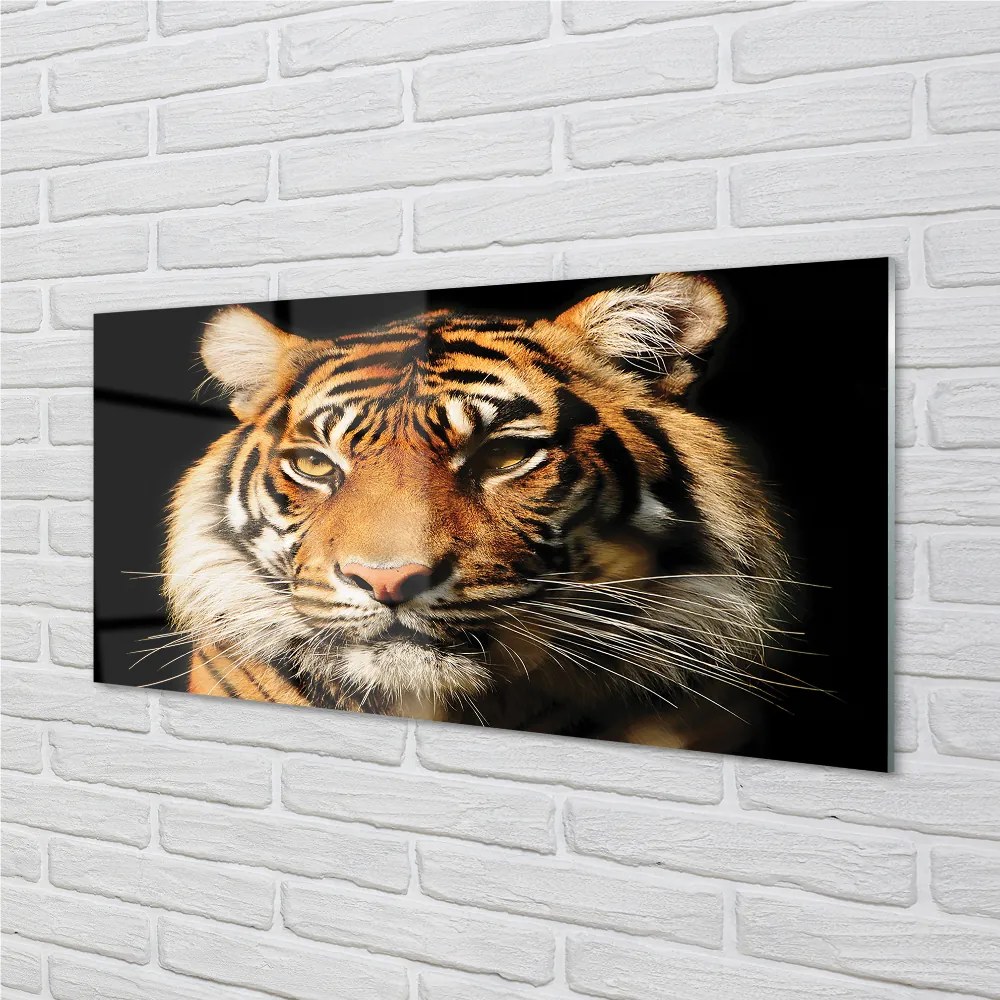 Nástenný panel  tiger 100x50 cm