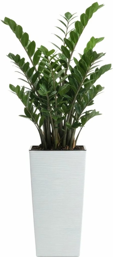 PLASTOVÝ KVETINÁČ PORTO RIFLO 46X25X25 CM BIELA