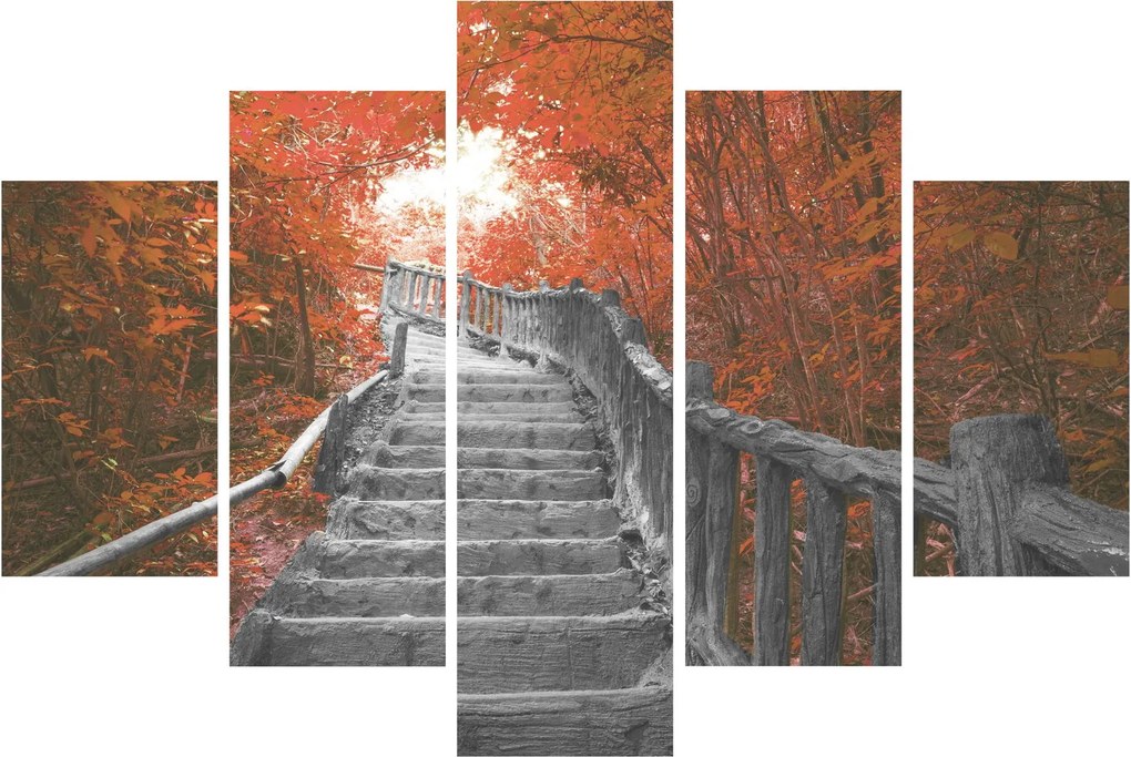 Obraz - Schody v prírode, oranžová (150x105 cm)