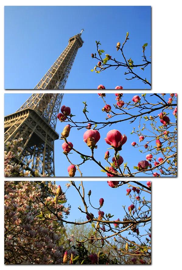 Obraz na plátne - Eiffelova veža v jarnom období - obdĺžnik 734C (120x80 cm)