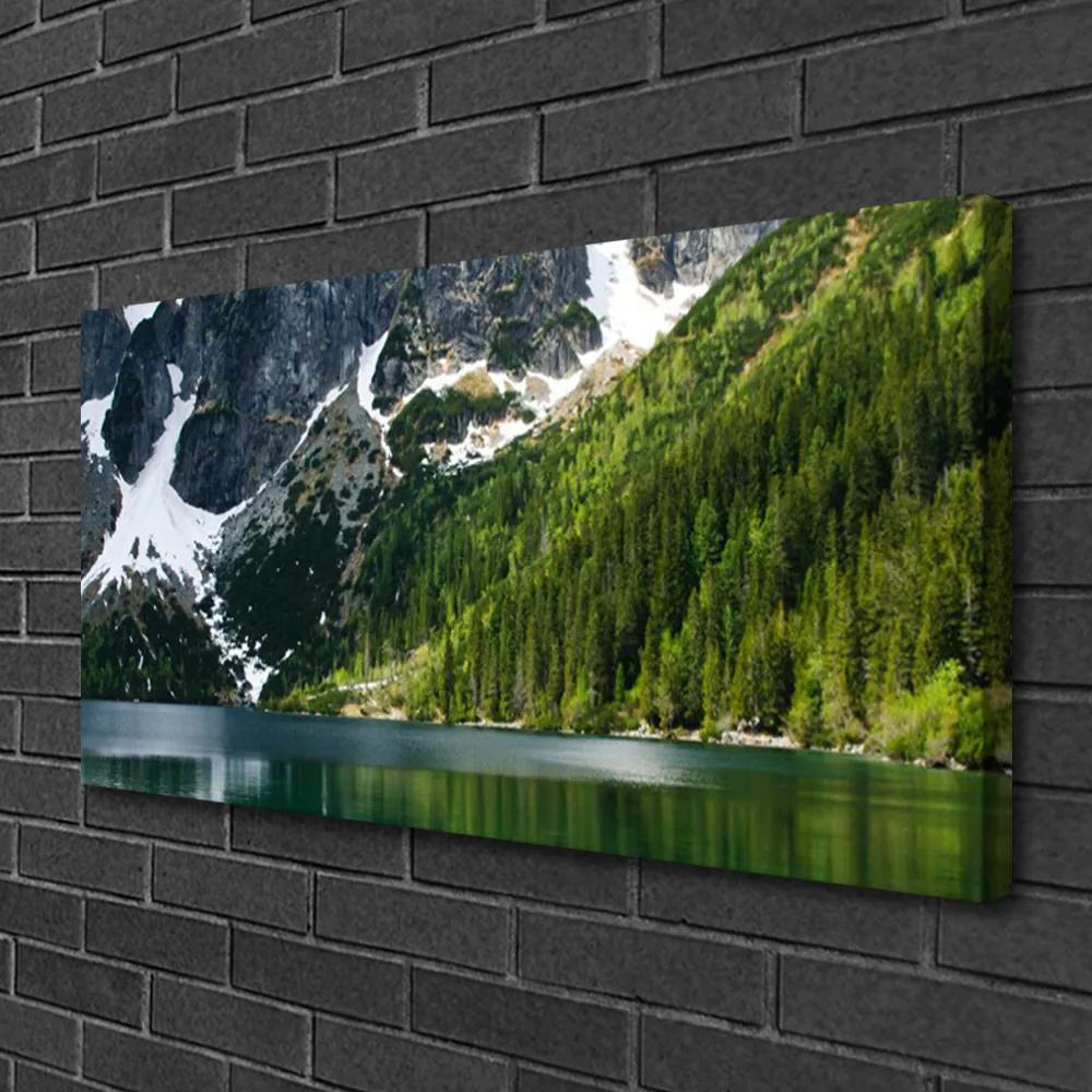 Obraz Canvas Jazero les hory príroda 120x60 cm