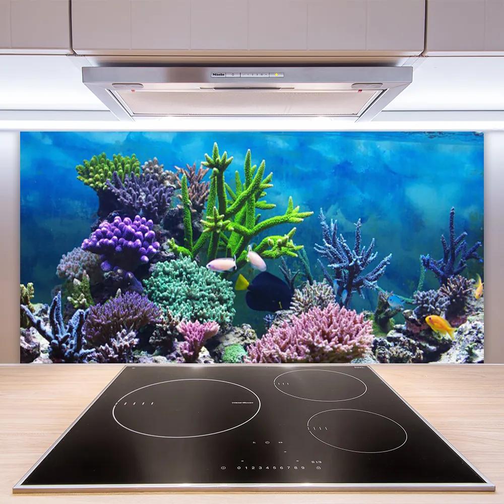 Sklenený obklad Do kuchyne Akvárium rybičky pod vodou 120x60 cm