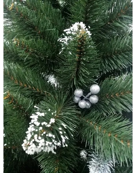 Limpol VIANOČNÝ STROMČEK Borovica Iza Perla Výška stromčeka: 150 cm