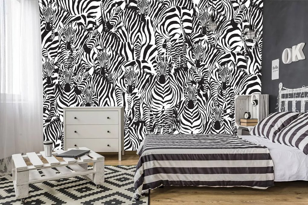 Fototapeta - Zebra (254x184 cm)