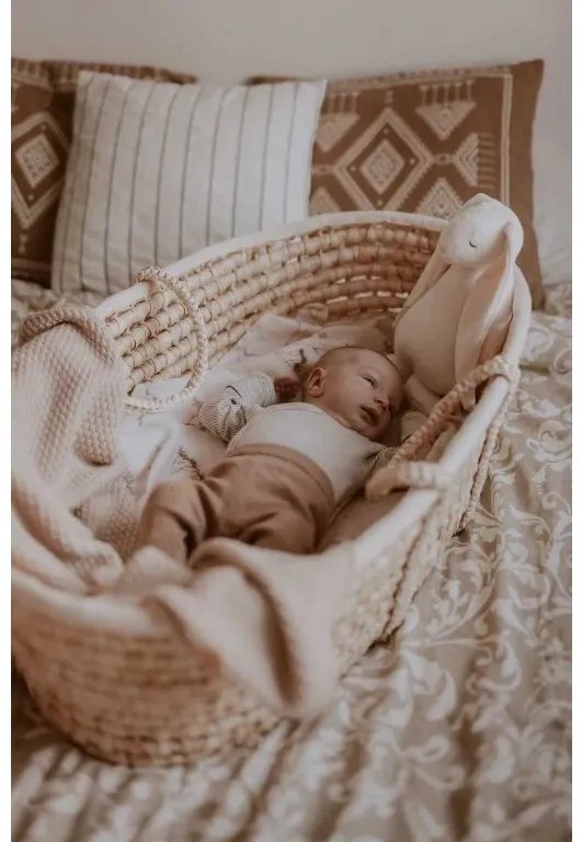 Ahojbaby Mojžišov košík pre bábätko Corn Natural + matrac Basic