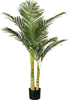 Umelá palma areka Dypsis lutescens 2 kmene 120 cm v čiernom plastovom kvetináči so zeminou 15 x 13 cm