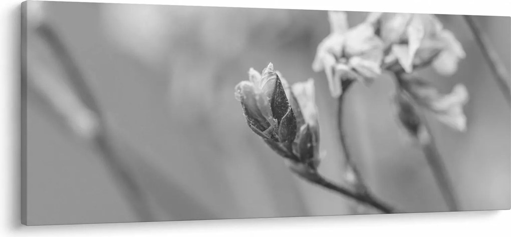 Obraz - Rozkvitnutý kvet (120x50 cm)