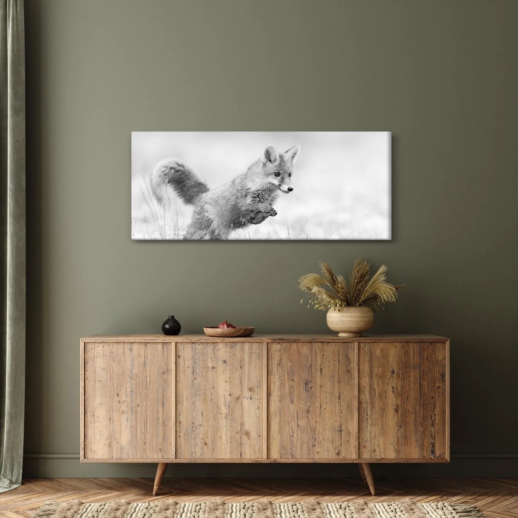 Obraz - Skákajúca líška, čiernobiela (120x50 cm)
