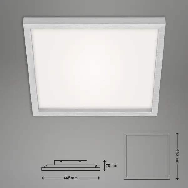 Briloner 7371-014 - LED Stmievateľné stropné svietidlo LED/24W/230V 3000-6500K+ DO