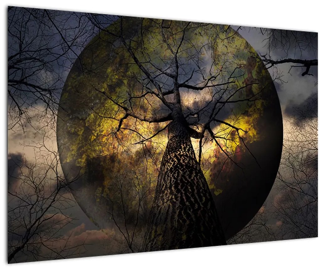 Obraz - Záhadné nebo (90x60 cm)