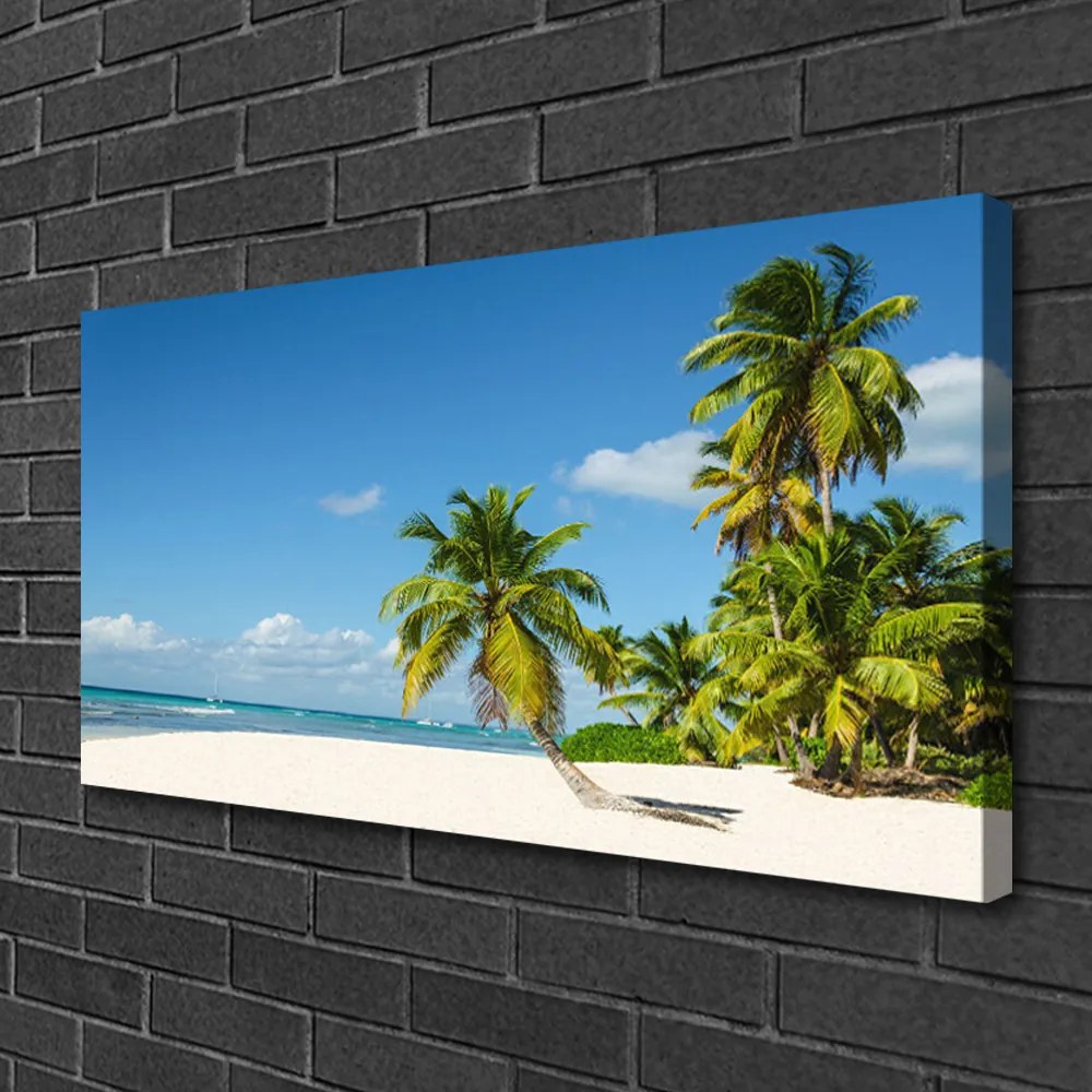 Obraz Canvas Pláž palma more krajina 125x50 cm