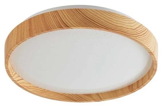 Rabalux 71143 - LED Stropné svietidlo LEANA LED/12W/230V 3000K pr. 26 cm