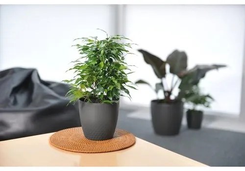 Plastia Plastový kvetináč Perla 16 cm, perleťová, Plastia, pr. 16 cm