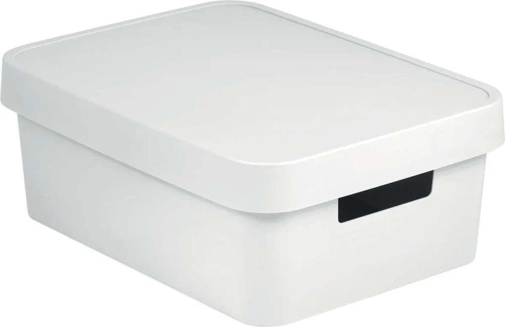 Curver Úložný box INFINITY M 11l