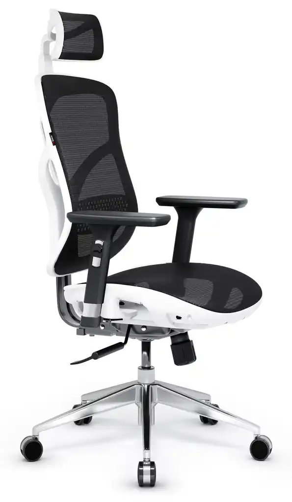 Kancelárska ergonomická stolička DIABLO V-BASIC: bielo-čierna Diablochairs  | BIANO