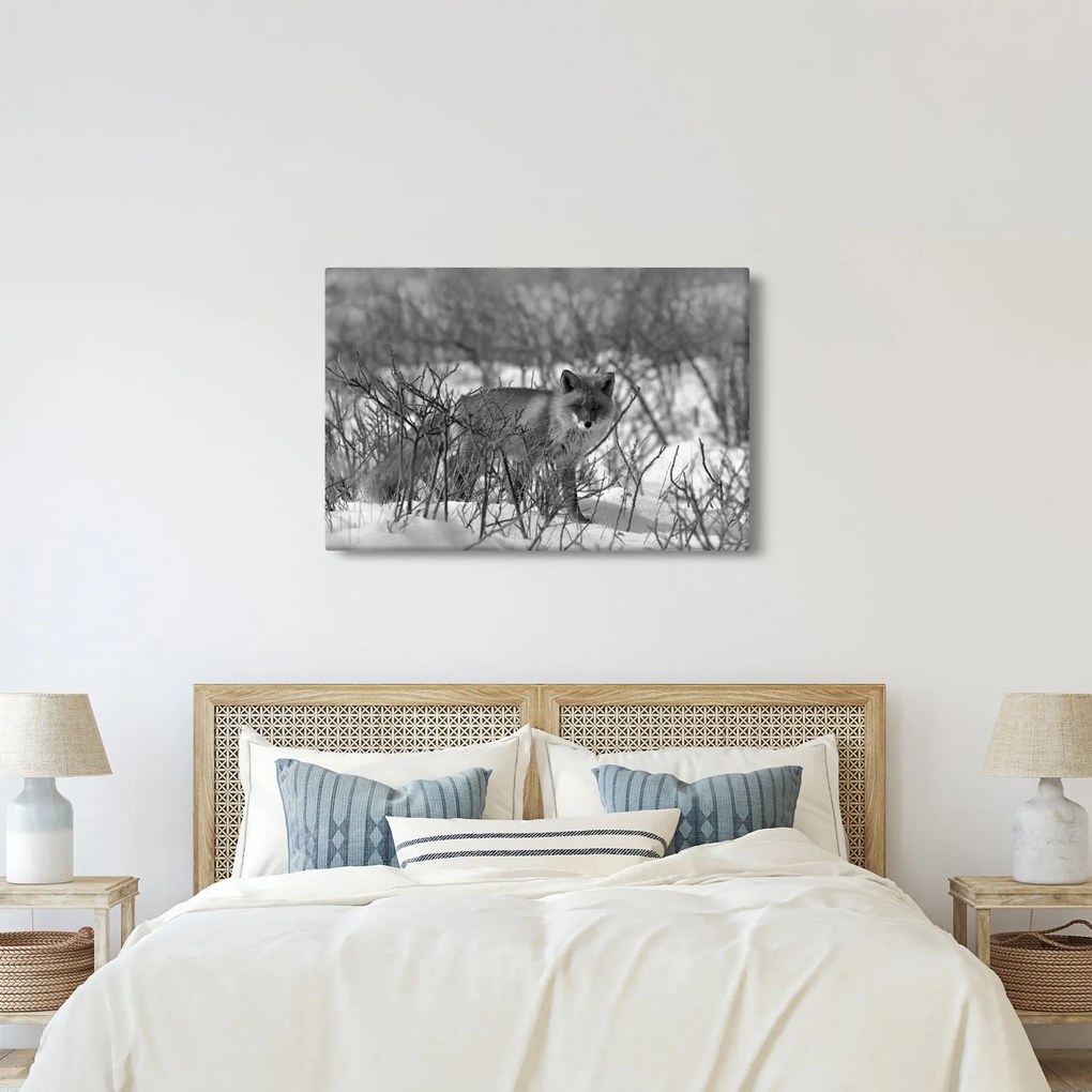 Obraz - Líška v zime (90x60 cm)