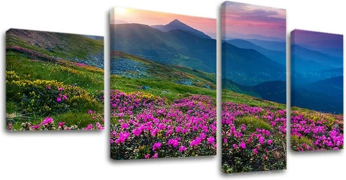 Obraz na plátne 4 dielny SLOVENSKO SK031E40