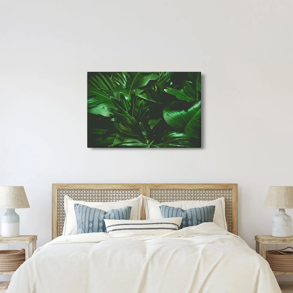 Obraz - Palmové listy (90x60 cm)