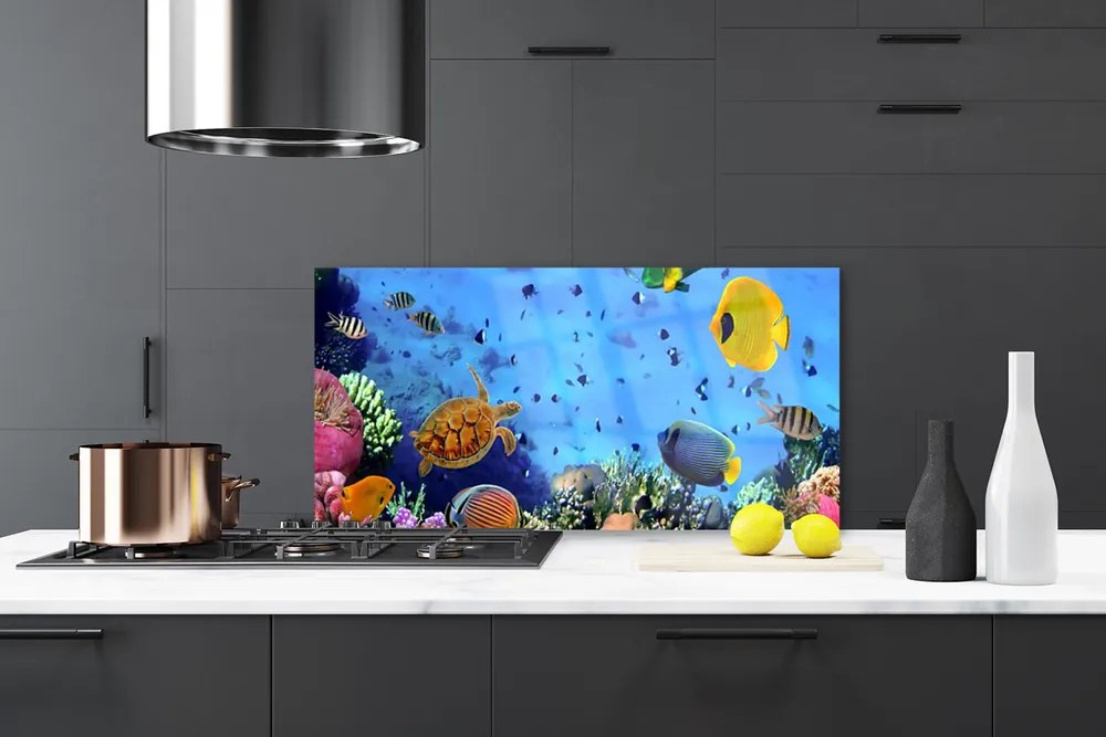 Nástenný panel  Koralový útes ryba príroda 100x50 cm