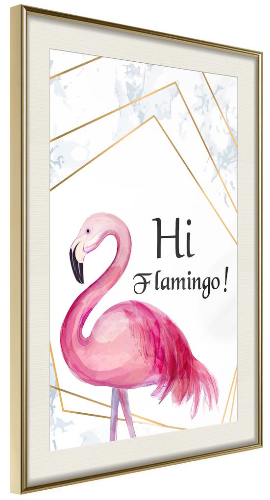 Artgeist Plagát - Hi Flamingo! [Poster] Veľkosť: 40x60, Verzia: Čierny rám s passe-partout