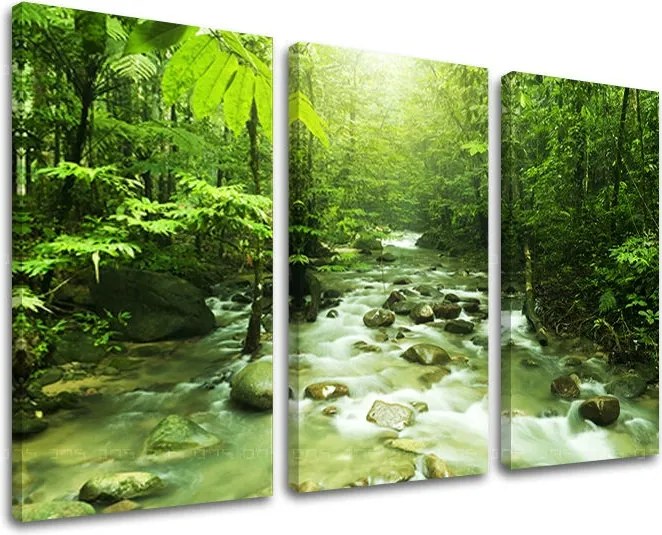 Obraz na stenu STROMY