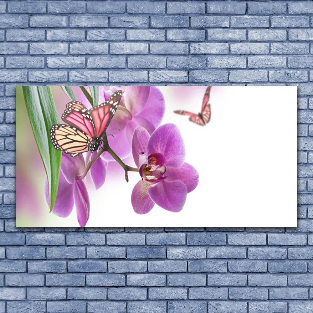 Obraz plexi Motýle kvety príroda 120x60 cm