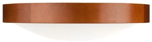 Stropné svietidlo MEDA 2xE27/60W/230V