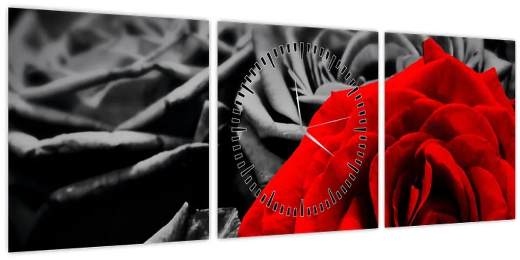 Obraz - Ruže (s hodinami) (90x30 cm)