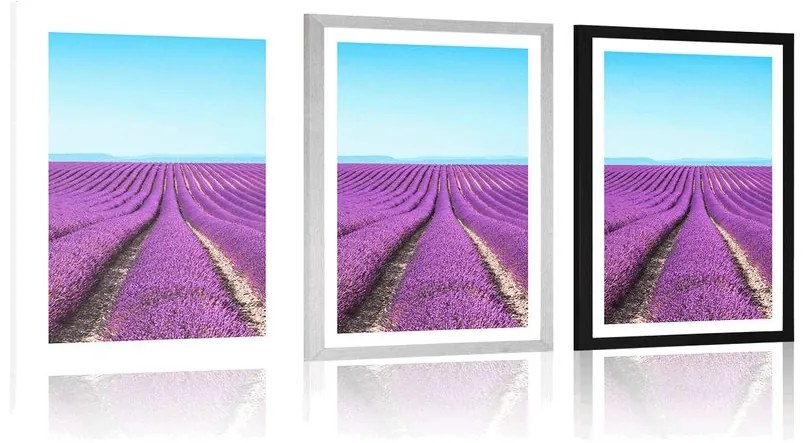 Plagát s paspartou nekonečné levanduľové pole - 40x60 black