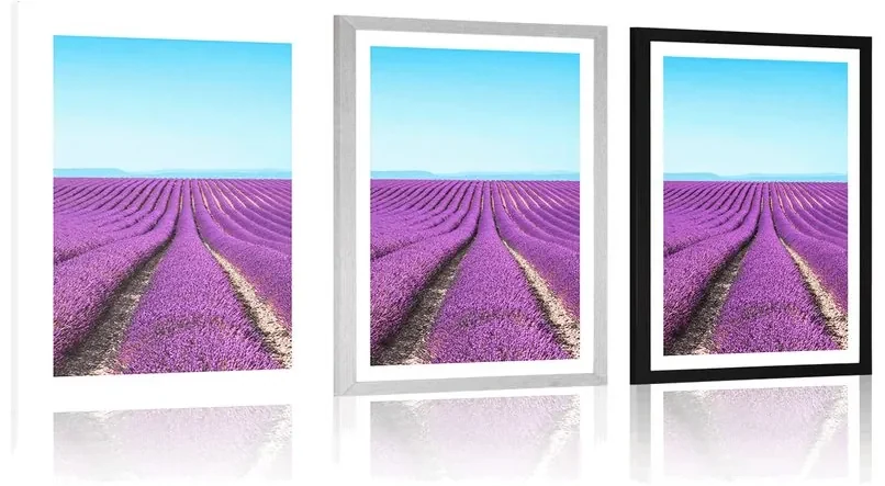 Plagát s paspartou nekonečné levanduľové pole - 40x60 white