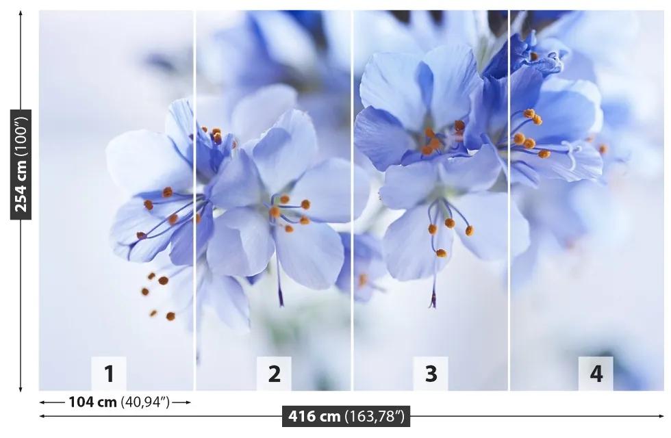 Fototapeta Vliesová Modré kvety 250x104 cm