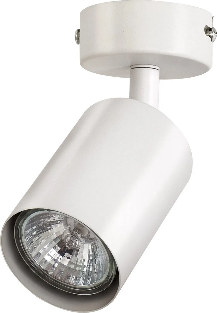 Toolight Toolight, JNH028-1C, bodové svietidlo na strop a stenu, 1× GU10, biela, OSW-56215