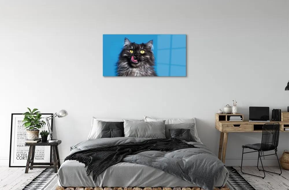 Sklenený obraz Oblizujący mačka 120x60 cm