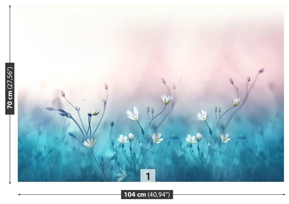 Fototapeta Vliesová Biele kvety 416x254 cm