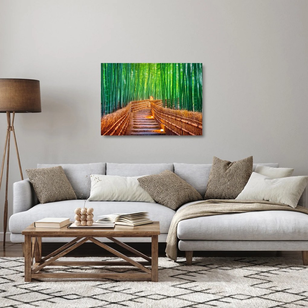 Sklenený obraz - Japonský bambusový les (70x50 cm)