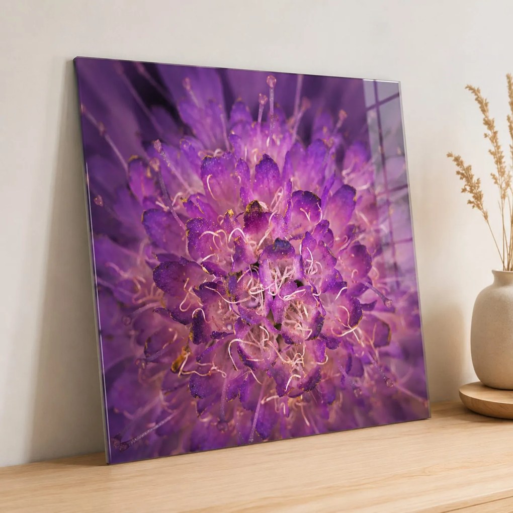 Sklenený obraz - Roztomilá srnčeka (70x50 cm)