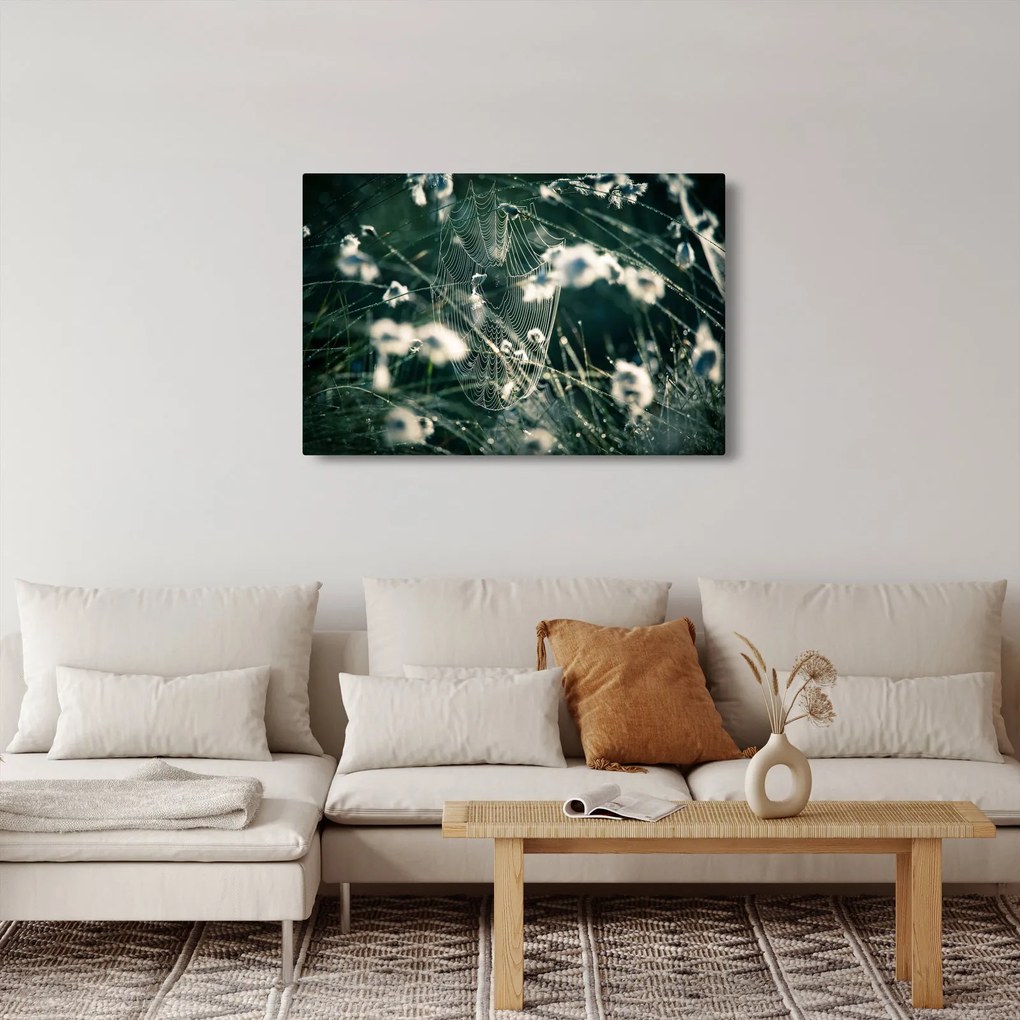 Obraz - Pavučina (90x60 cm)