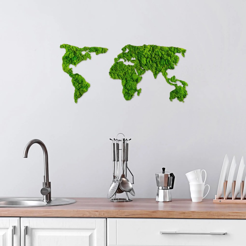 World Map