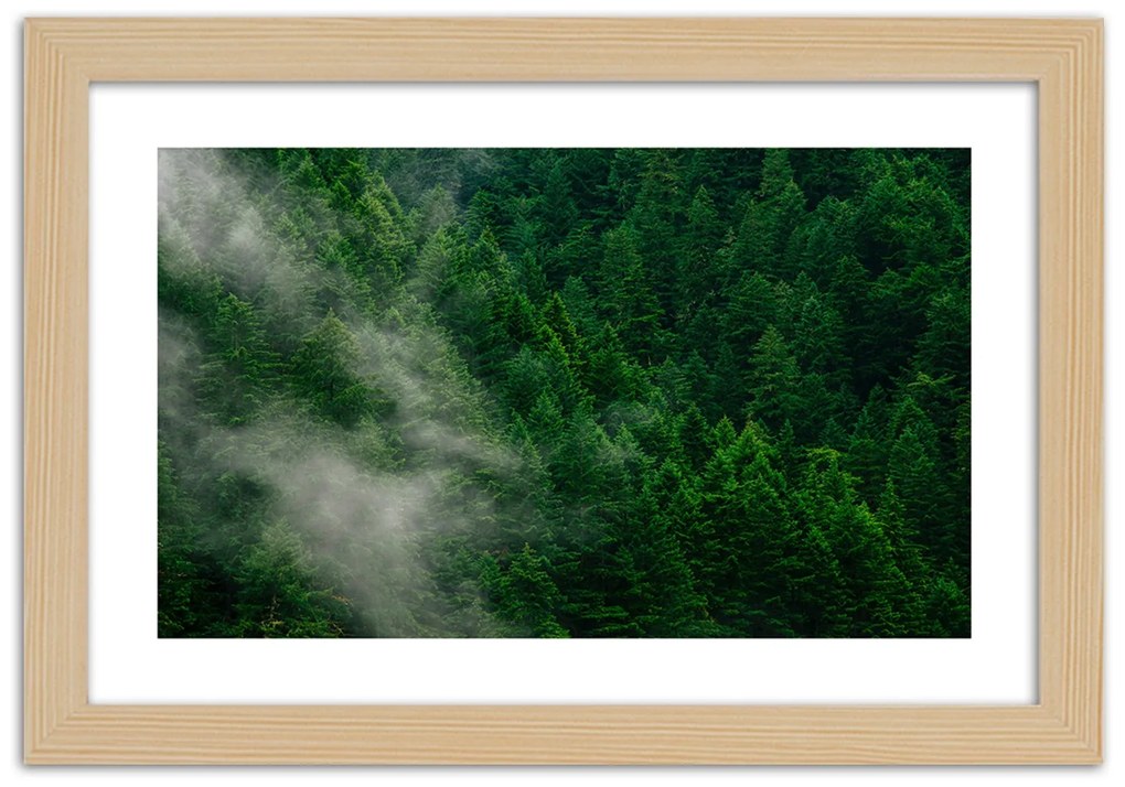 Gario Plagát Hmla nad lesom Farba rámu: Čierna, Rozmery: 60 x 40 cm