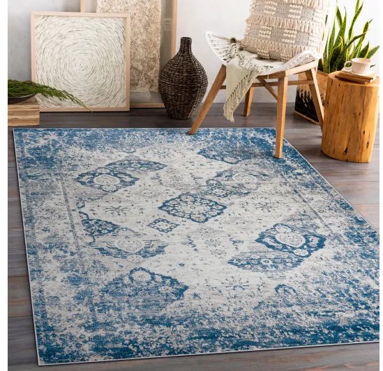 Kusový koberec ANDRE Rosette 1819C, 160x220, modrá, chodba / predsieň, Dywany Łuszczów