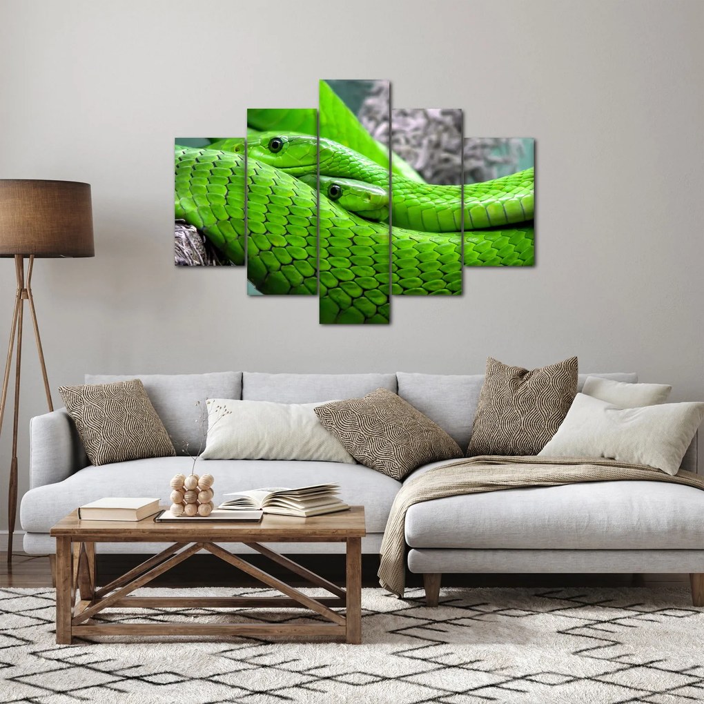 Obraz zelených hadov (150x105 cm)