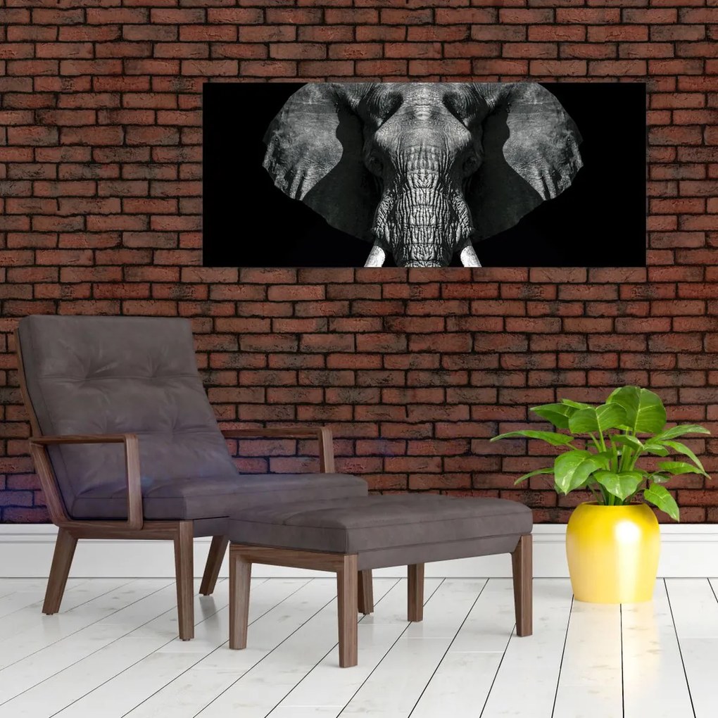 Obraz - Slon na čiernom pozadí (120x50 cm)