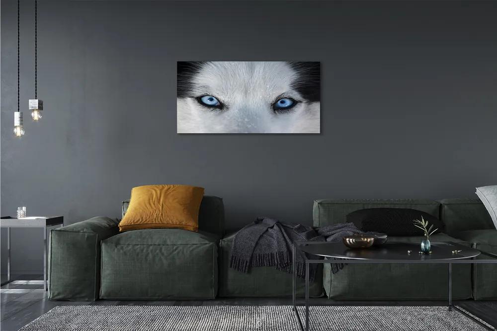 Obraz na plátne wolf Eyes 120x60 cm