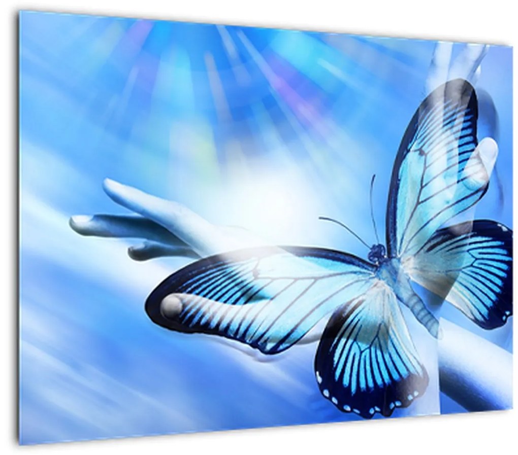 Sklenený obraz - Motýľ, symbol nádeje (70x50 cm)