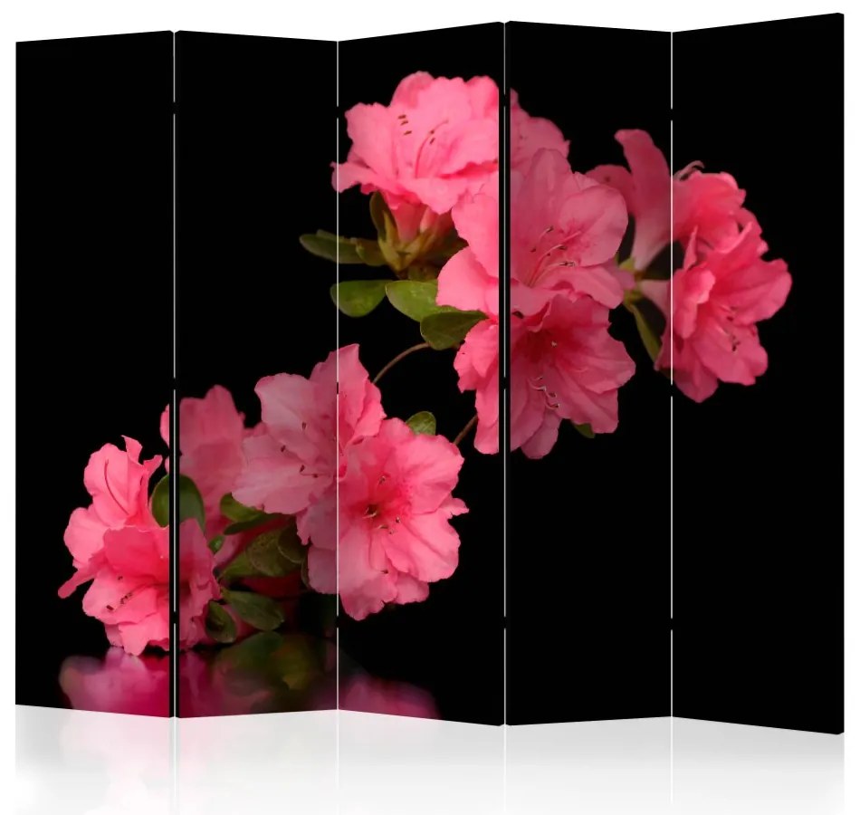 Artgeist Paraván - Azalea in Black [Room Dividers]