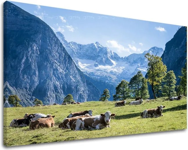 Obraz na stenu KRAJINA KR005E11