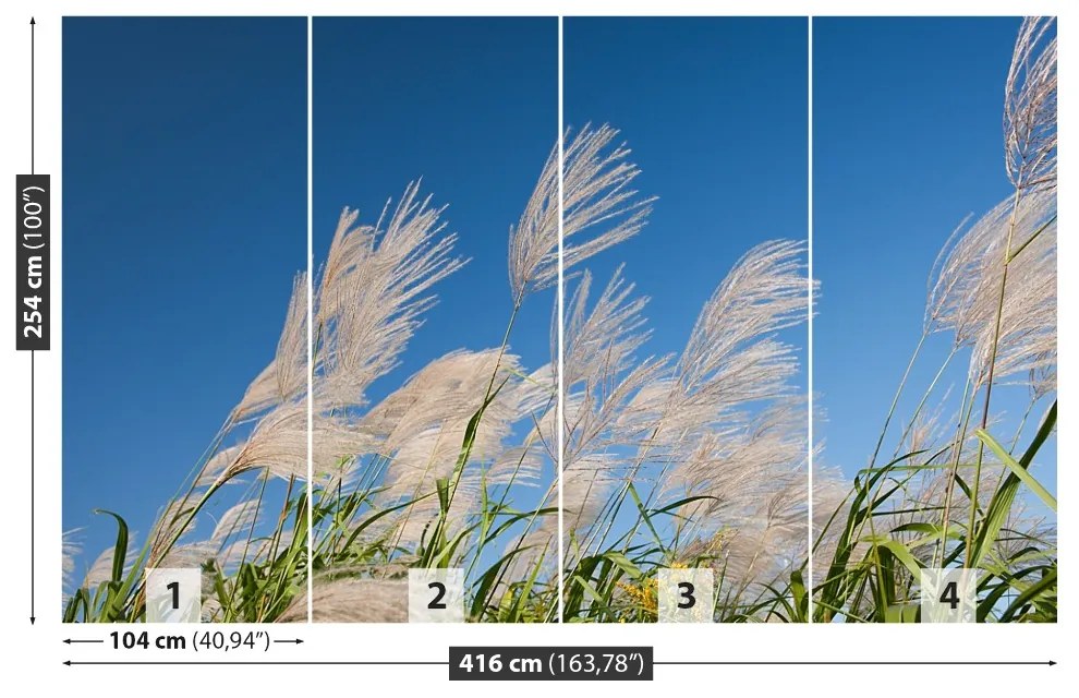 Fototapeta Vliesová Japonská tráva 250x104 cm
