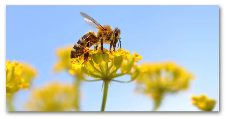 Foto obraz akryl do obývačky Včela na kvetine pl-oa-140x70-f-83831573