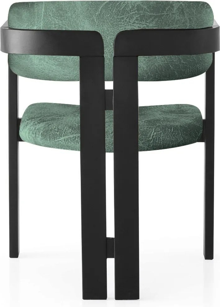 Jedálenská stolička CO z masívu zelená/čierna